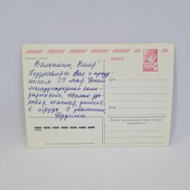 Картинка 2