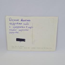 Картинка 2