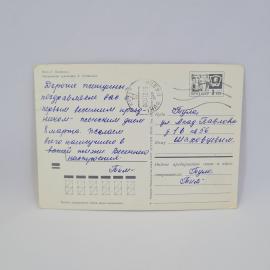 Картинка 2