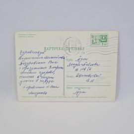 Картинка 2