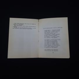 Картинка 3