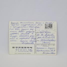 Картинка 2