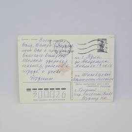 Картинка 2