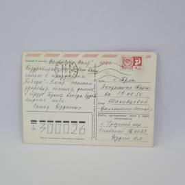 Картинка 2