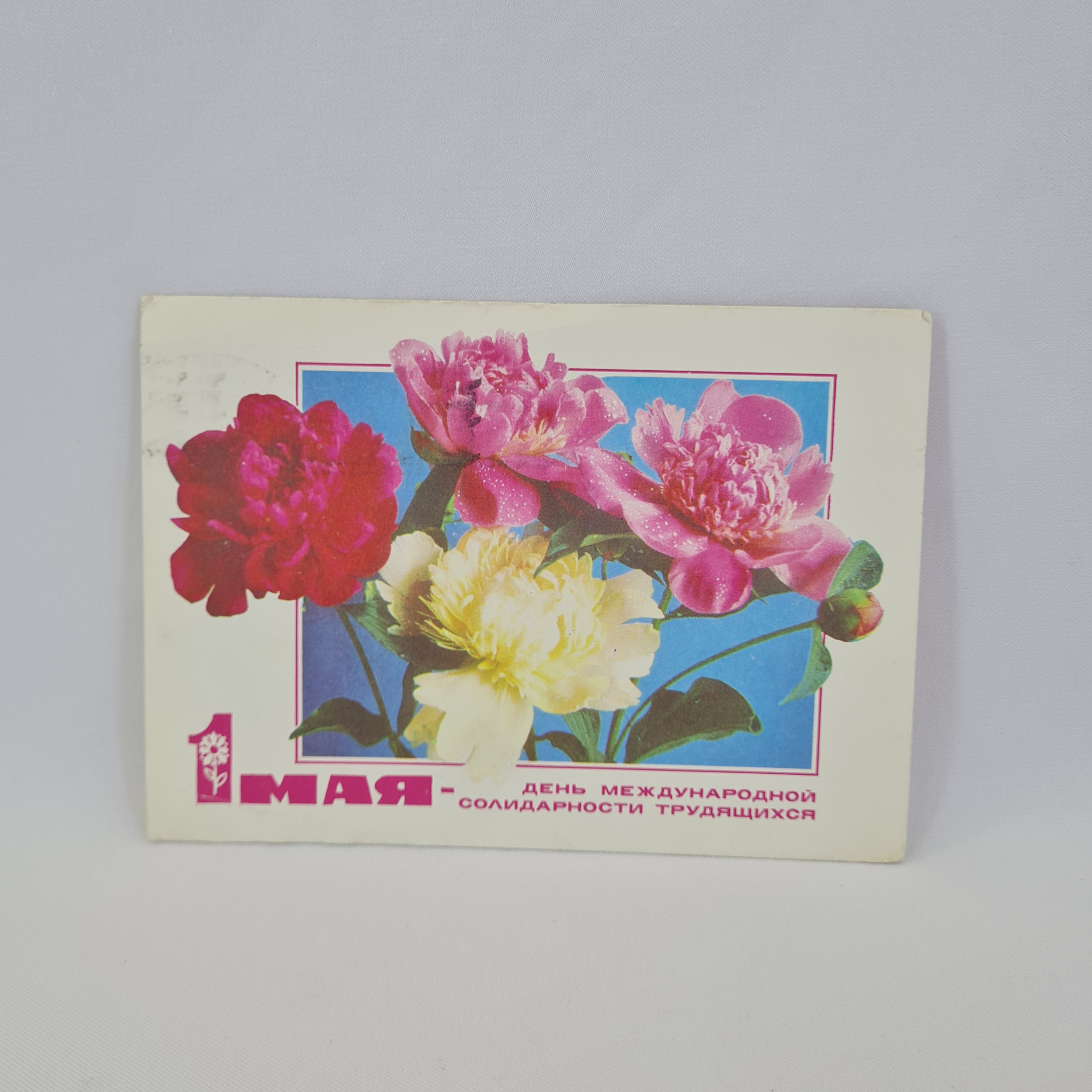 Картинка 1