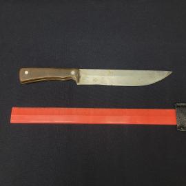 Картинка 3