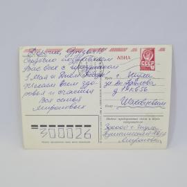 Картинка 2