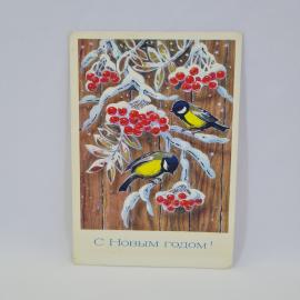 Открытка подписанная советская СССР. Новый год, синицы на заснеженной рябине. Винтажная иллюстрация