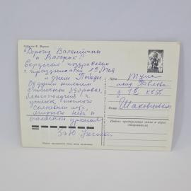 Картинка 2