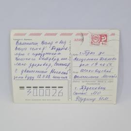 Картинка 2