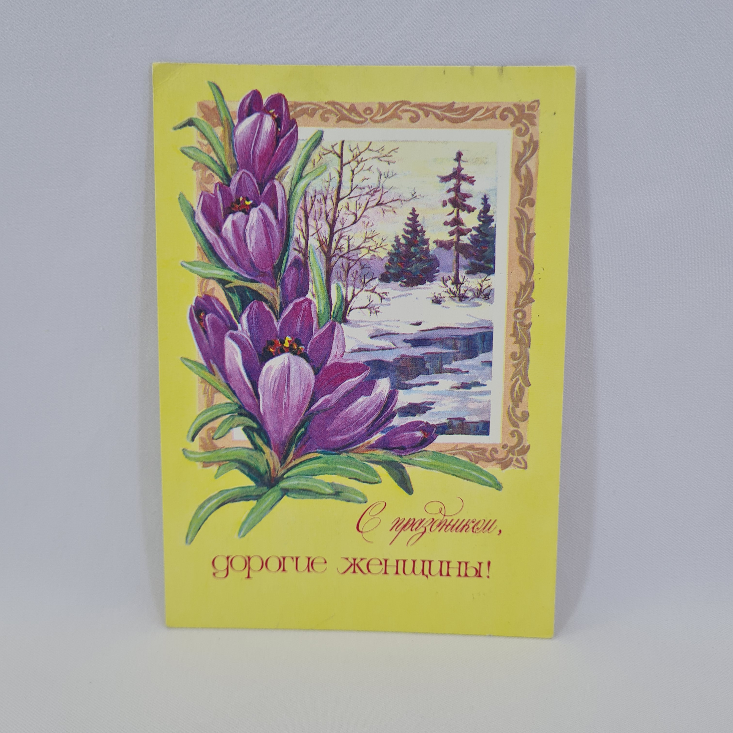 Картинка 1