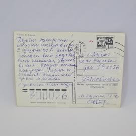 Картинка 2