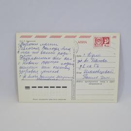 Картинка 2