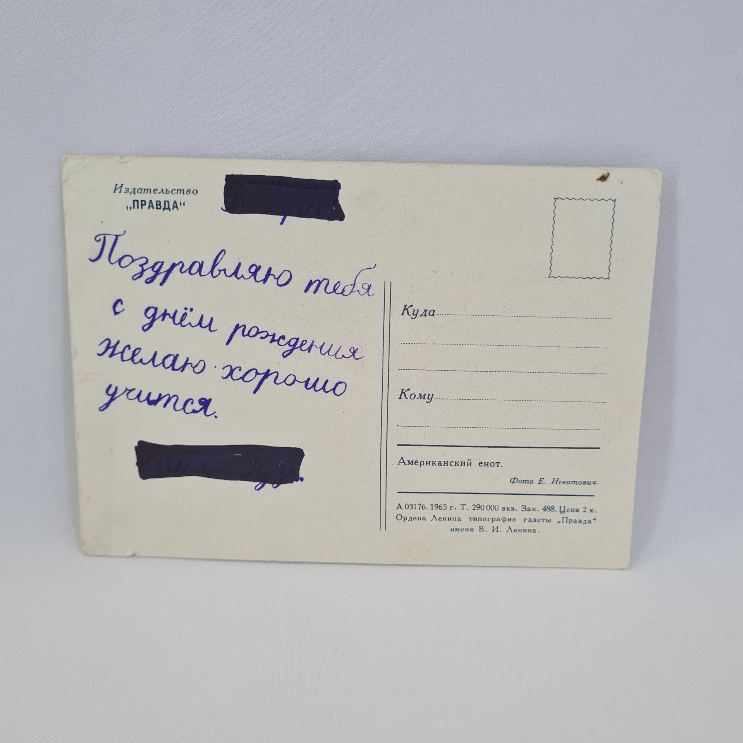 Картинка 2