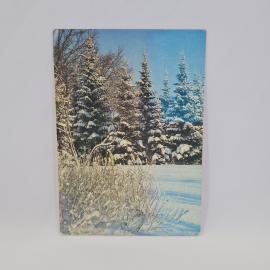 Открытка подписанная советская СССР. Зимний лес в снегу, пейзаж природы. Винтаж