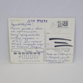 Картинка 2
