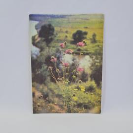 Картинка 1