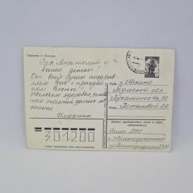 Картинка 2