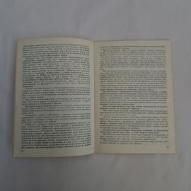 Картинка 4