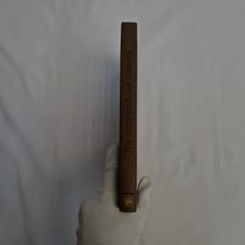 Картинка 6