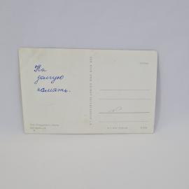 Картинка 2