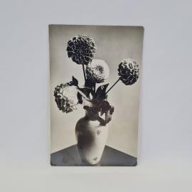 Открытка подписанная старинная. Черно белая фотография букета георгинов в фарфоровой вазе