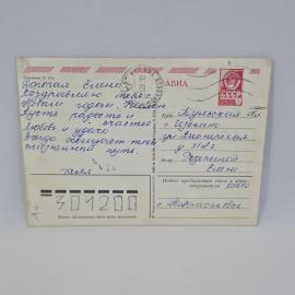 Картинка 2