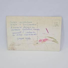Картинка 2
