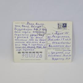 Картинка 2