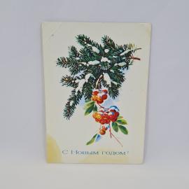 Открытка подписанная советская СССР. Новый год, еловая ветвь, рябина под снегом. Винтаж