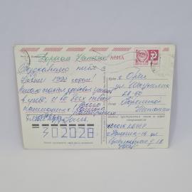 Картинка 2