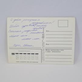 Картинка 2