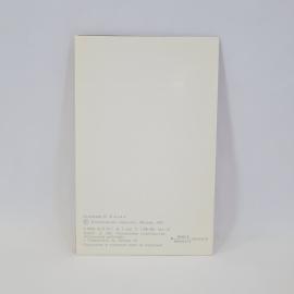 Картинка 3