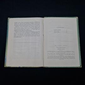 Картинка 3
