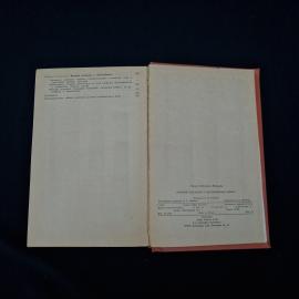 Картинка 3