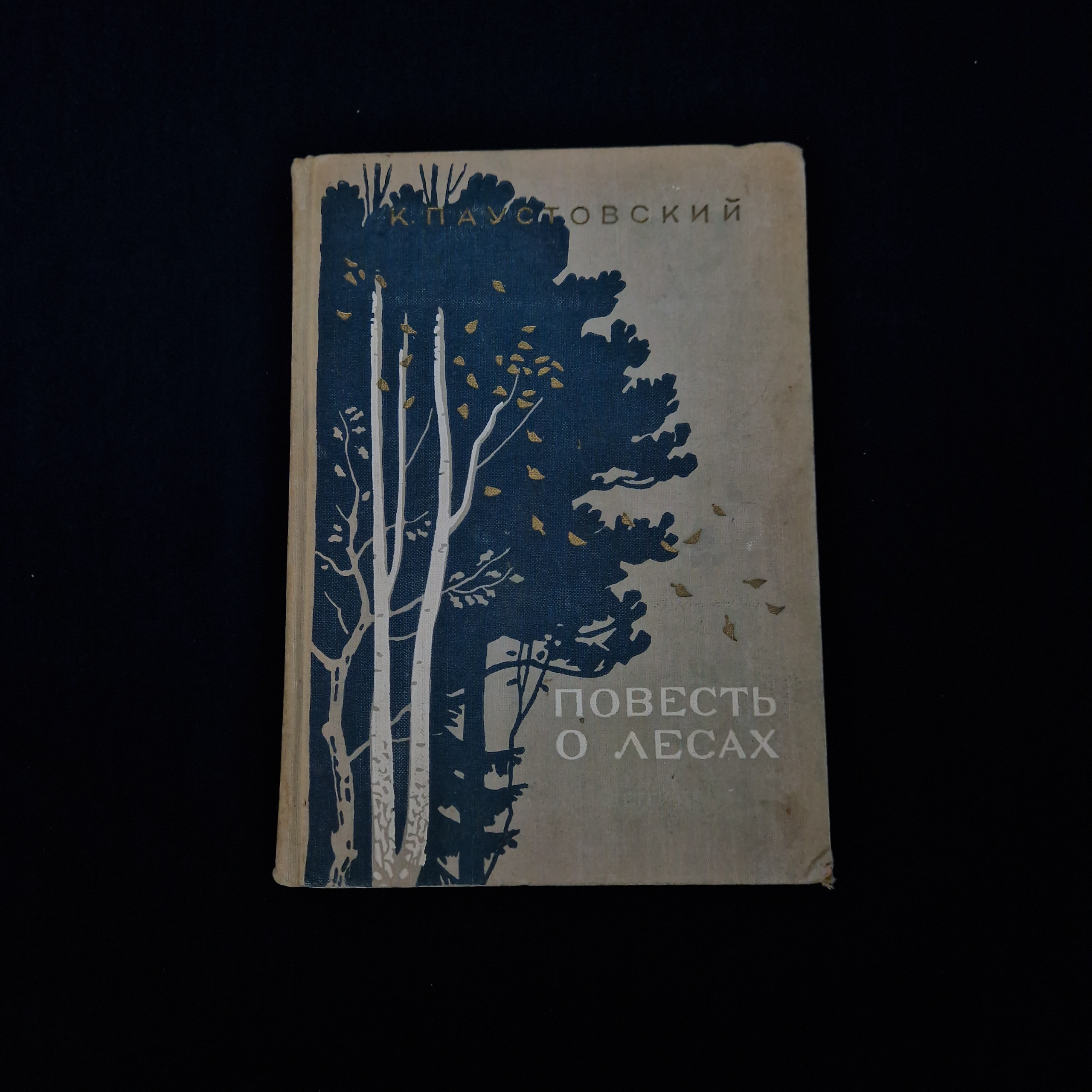 Картинка 1