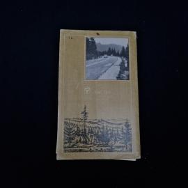 Картинка 2