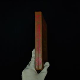 Картинка 6