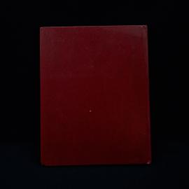 Картинка 2