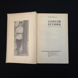 Картинка 4