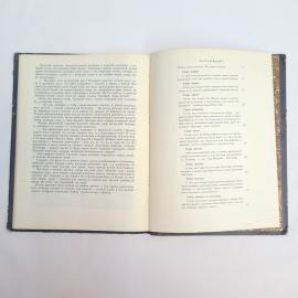 Картинка 6