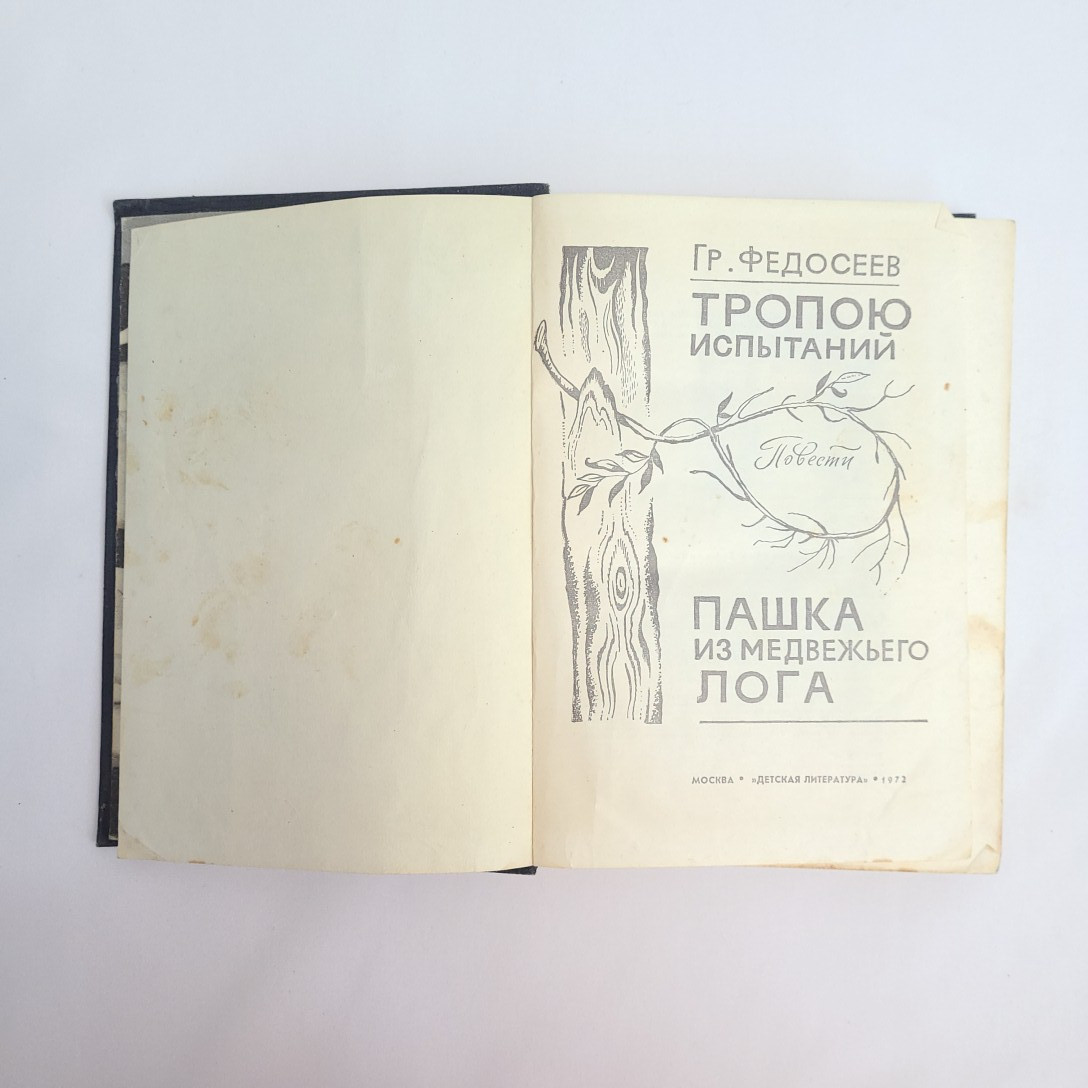 Картинка 4