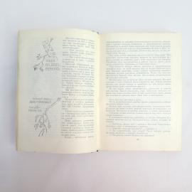 Картинка 5
