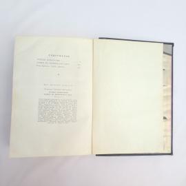 Картинка 6