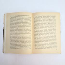 Картинка 5
