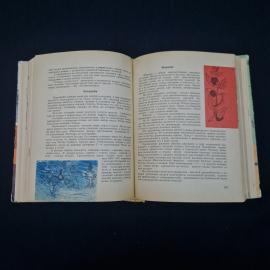 Картинка 4