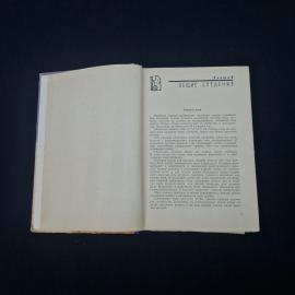 Картинка 5