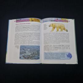 Картинка 4