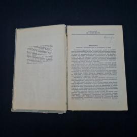 Картинка 5