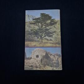 Картинка 2